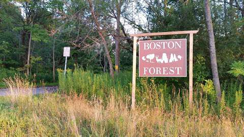 Jobs in Boston Forest County Park - reviews